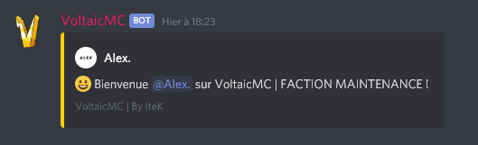 Bot discord pour serveur MC